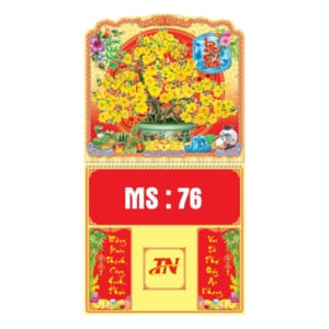 MS-76-mai-vang-don-xuan.jpg